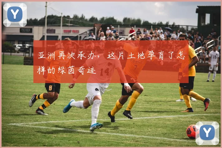 亚洲再次承办，这片土地孕育了怎样的绿茵奇迹